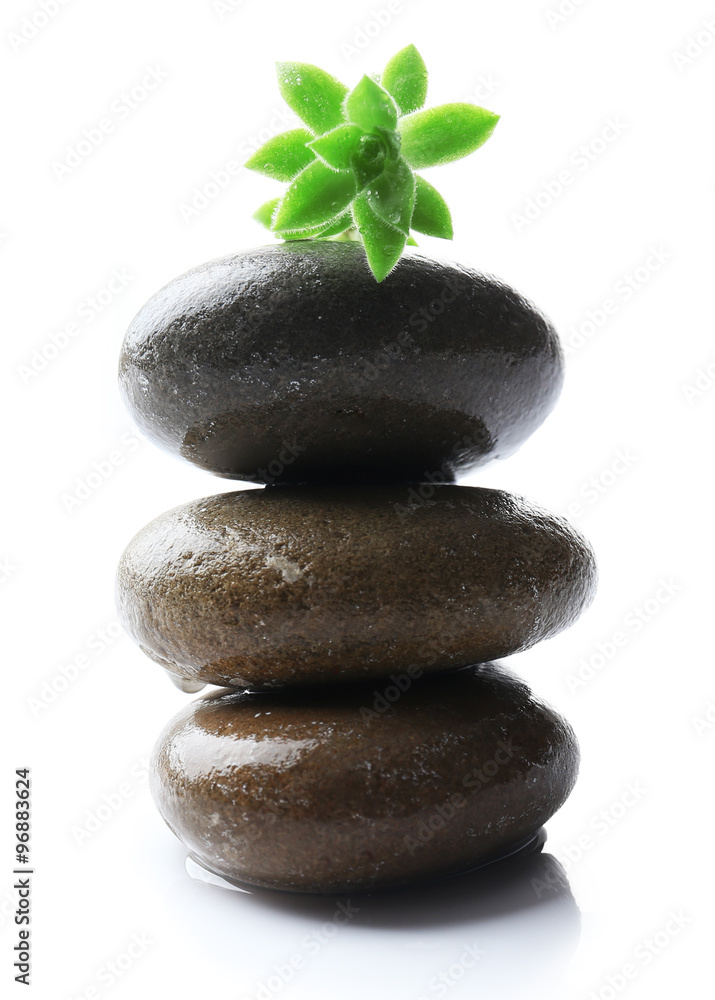 Stack of stones and a green flower, isolated on white. Spa relaxation concept Stack of stones and a green flower, isolated on white. Spa relaxation concept