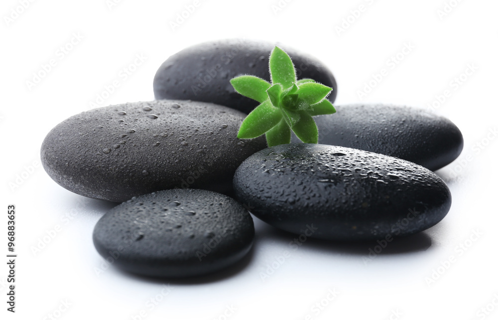Stack of stones and a green flower, isolated on white. Spa relaxation concept Stack of stones and a green flower, isolated on white. Spa relaxation concept