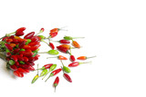 fresh chilli peppers, various kinds on white, space for advertis