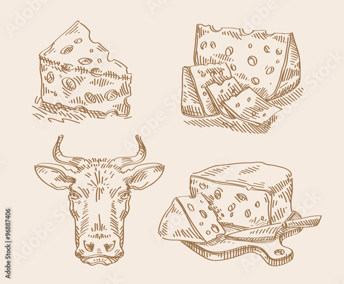 hand drawn sketch set of cheese and cow. vector illustration