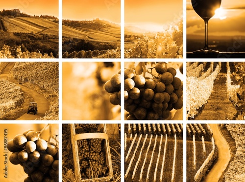 Photos country wine collage sepia style