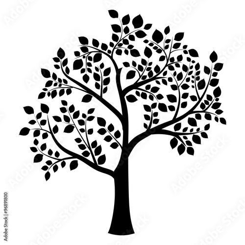 black silhouette of a deciduous tree on a white background