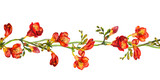 Seamless floral border stripe with flower of red freesia 