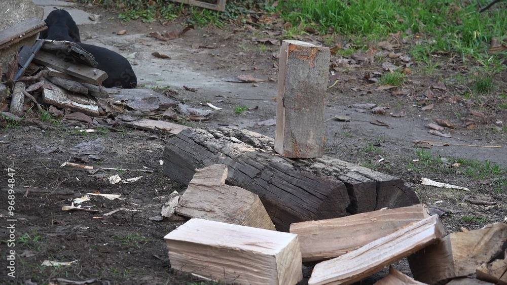 Lumberjack Cutting Wood With Axe Male Worker Splitting Logs Outdoors