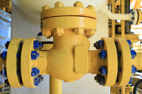 Check valve in a production facility to control flow direction