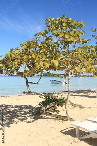 Jamaica beach and blue Caribbean sea