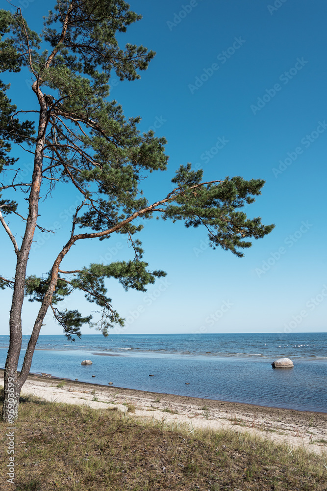 Fototapeta premium Blue Baltic sea.