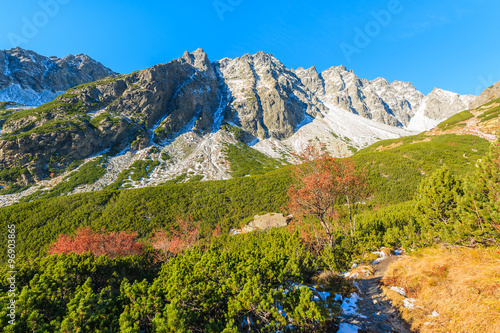 View of mountains covered with snow in autumn landscape of Hincova valley, Tatra Mountains, Slovakia