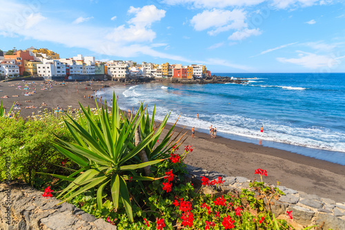 Green tropical plants on beach in Puerto de la Cruz with view of Punta Brava village, Tenerife, Canary Islands, Spain