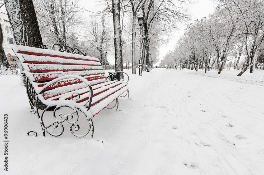 red bench in the winter park Russia