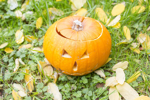Halloween scary pumpkin with a smile in autumn garden