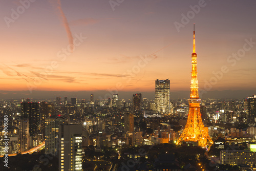 Tokyo Tower  Tokyo  Japan