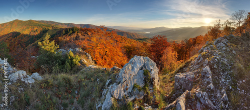 Autumn forest mountain panorama