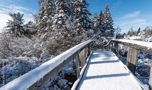 A fresh fallen snow covers a footbridge on a walking path in the woods.  Nature winter scenic. 