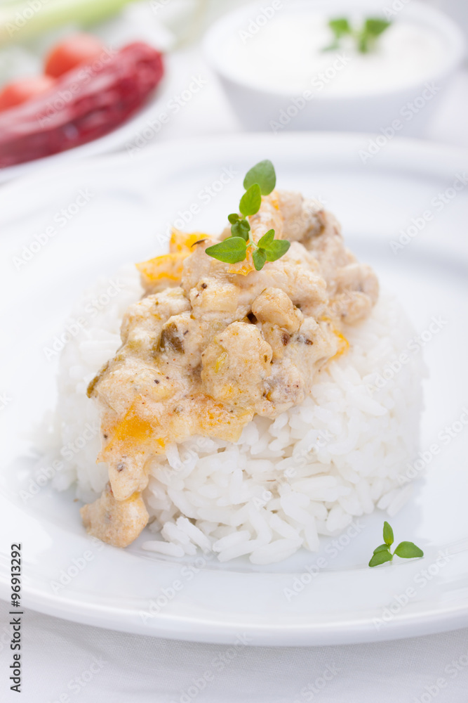 Stewed chicken in a cream with paprika and italian herbs with rice on a white plate. Stewed chicken in a cream with paprika and italian herbs with rice on a white plate.