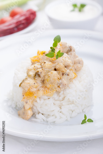 Stewed chicken in a cream with paprika and italian herbs with rice on a white plate.