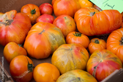 fresh garden red tomatoes healthy