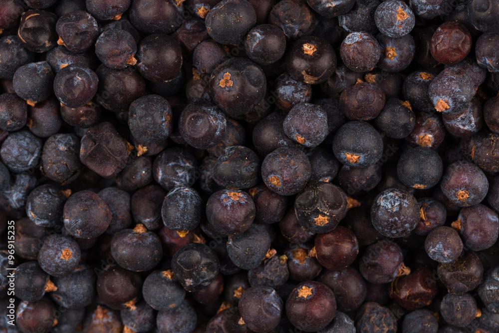 Fototapeta premium Dried black currant