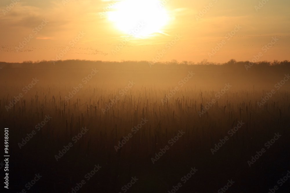 Sunset Stock Photo | Adobe Stock
