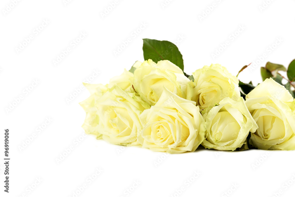 Fototapeta premium Bouquet of white roses on a white background