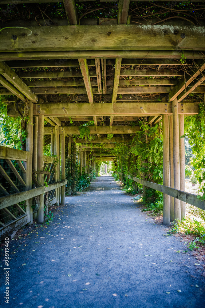 Green corridor