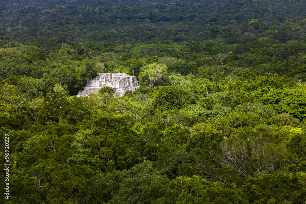 Fototapeta premium Maya-Ruinen in Calakmul