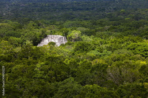 Wallpaper Mural Maya-Ruinen in Calakmul Torontodigital.ca