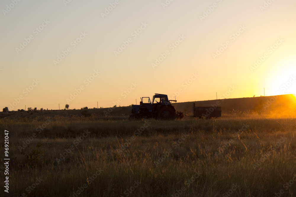 Naklejka premium tractor rides at sunset, kicking up dust
