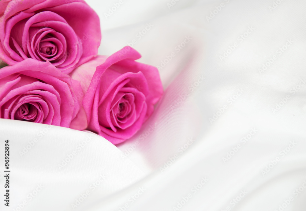 roses on white silk background