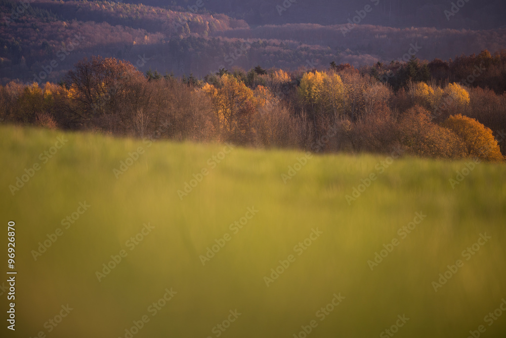 blurred field in fall