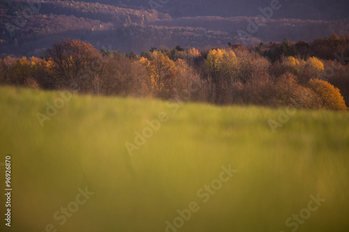 blurred field in fall