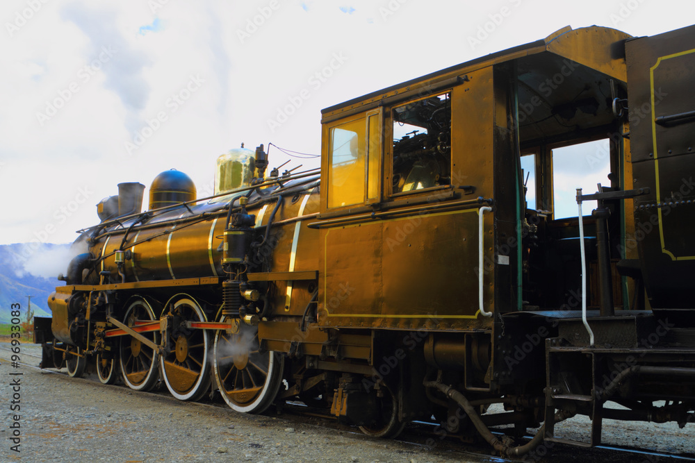 Obraz premium Steam train