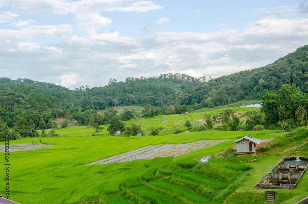 green rice terraces in country village,Thailand