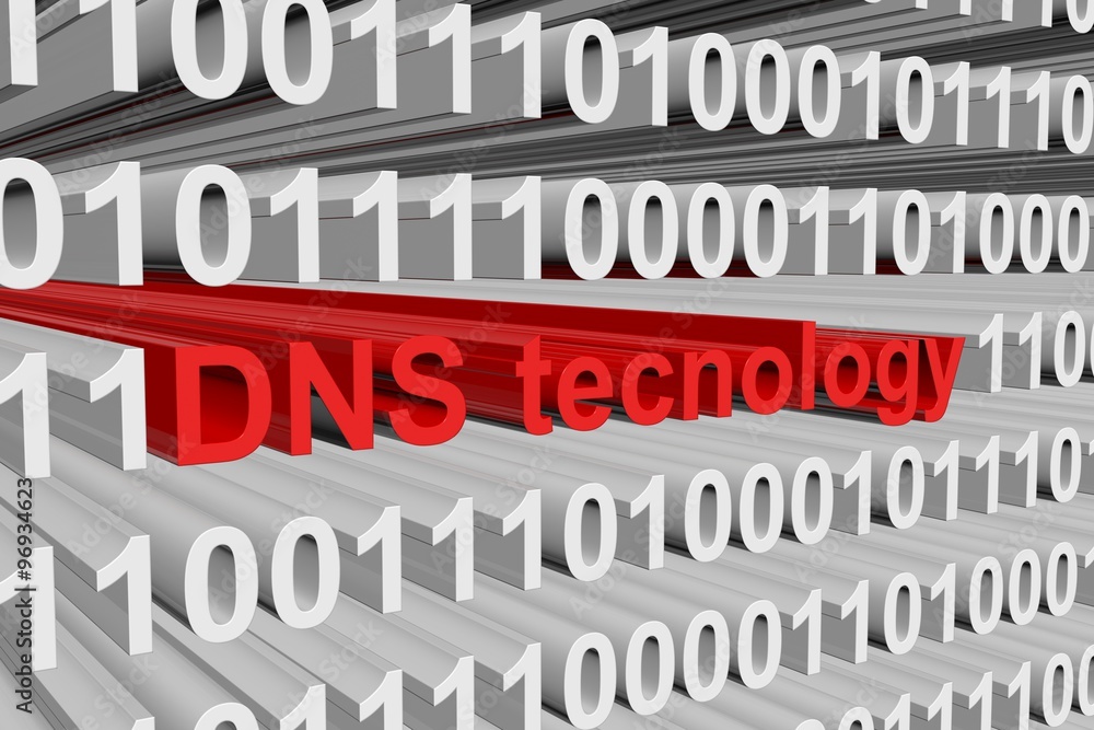 DNS technology is presented in the form of binary code