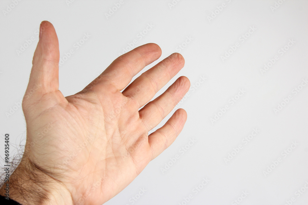 open the palm of the hand on a light background open the palm of the hand on a light background