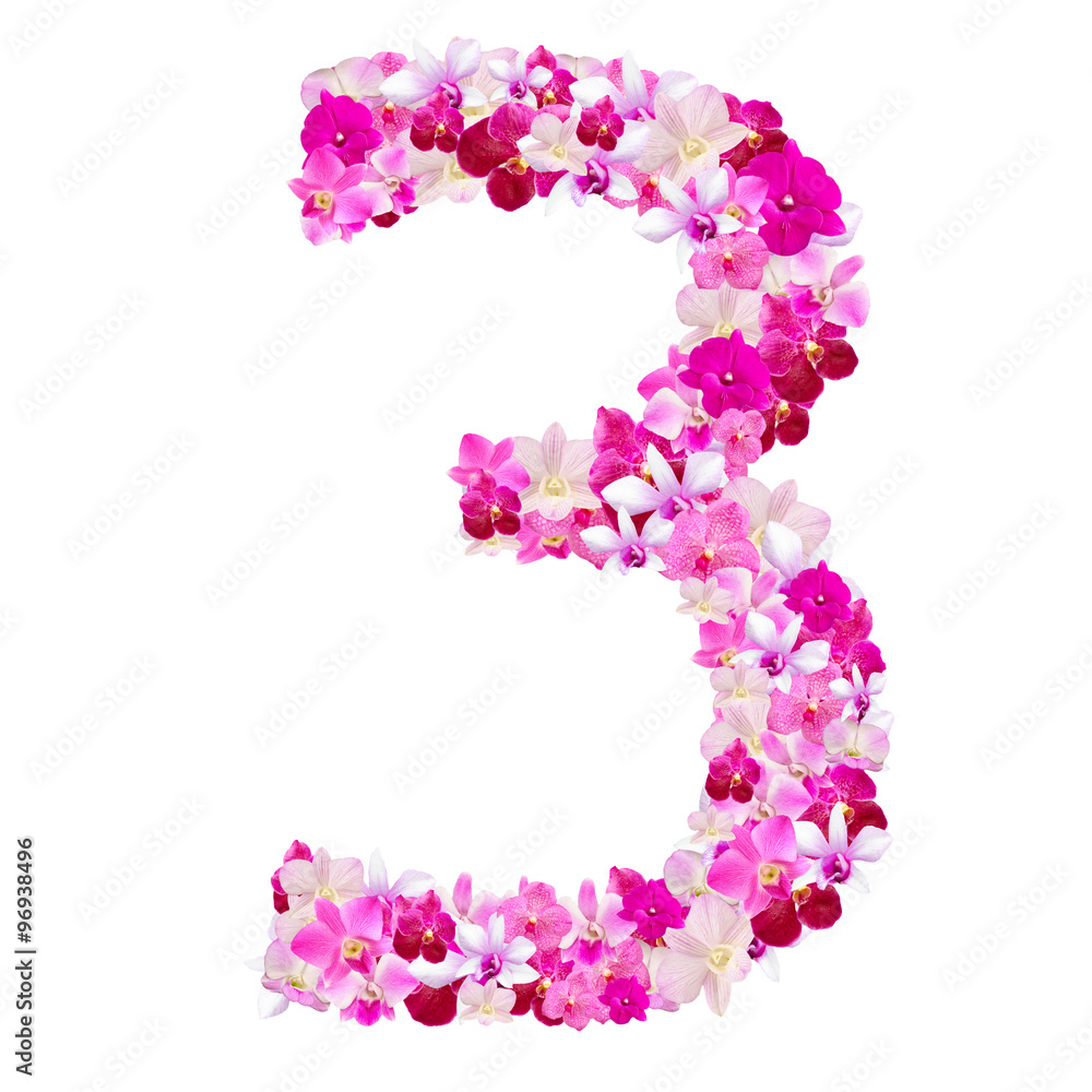 Alphabet number three from orchid flowers isolated on white with Alphabet number three from orchid flowers isolated on white with