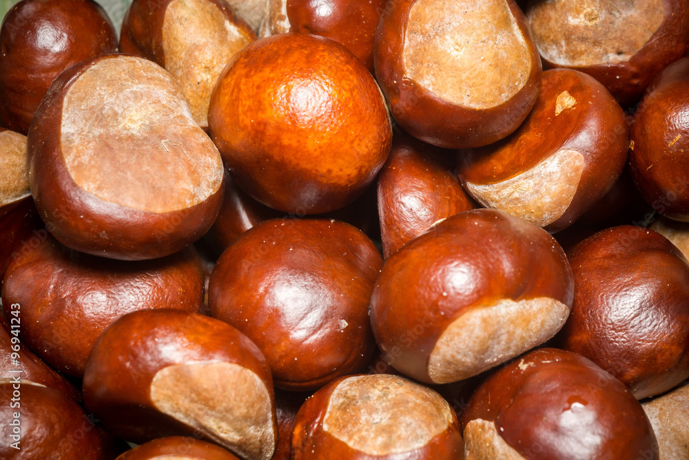 Fresh Chestnuts Macro