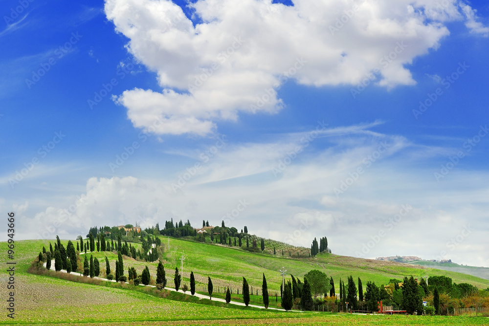 Naklejka premium tuscany landscape panoramic view with hills and cypresses, toscana, italy