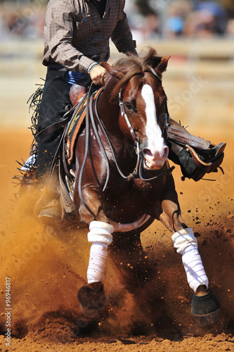 Fototapeta Naklejka Na Ścianę i Meble -  The rider is stopping the horse in the dust