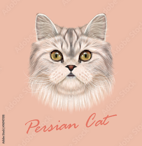 Persian cat purebred animal cute face. Vector funny white tabby gray cat head portrait. Realistic fur portrait of green eyes white Persian kitten isolated on pink background.