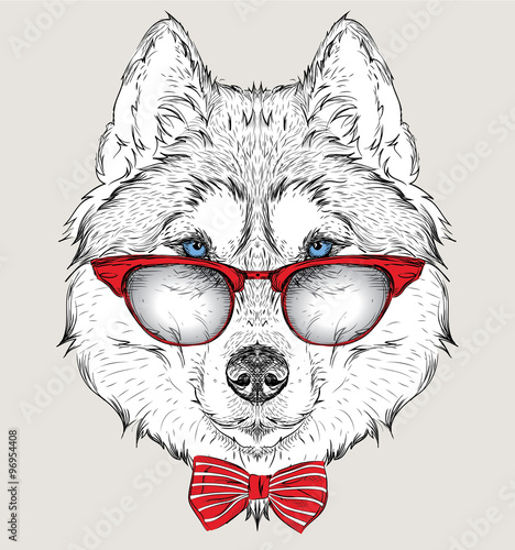 Image Portrait panda in the cravat and with glasses. Hand draw vector illustration.