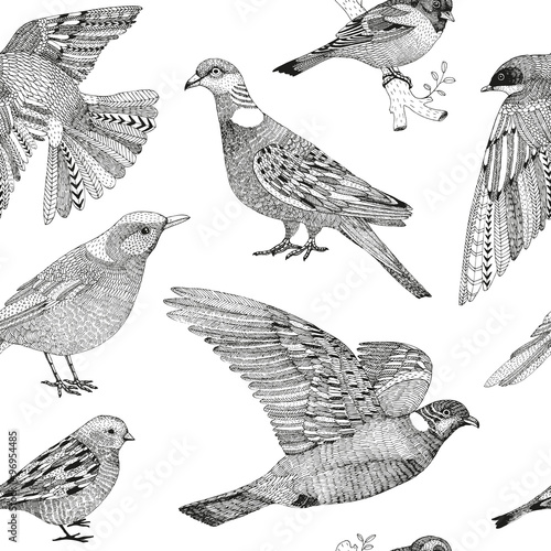 vector hand drawn seamless pattern with city birds