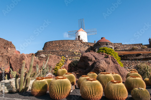 Jardin de Cactus Lanzarote photo