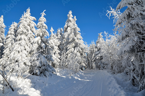 Winter Panorama Landschaft Wald  © sonne_fleckl