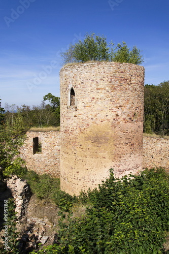 Bosky ruins of abandoned Valdek in Czech Republic sunny summer day clear blue sky photo