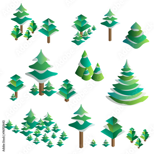 Winter trees.Isolated object.Isometric view.Vector illustration.