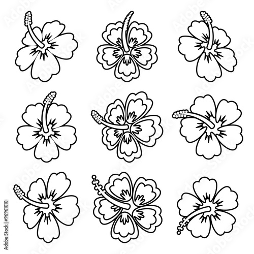 Vector hibiscus flower outline icons