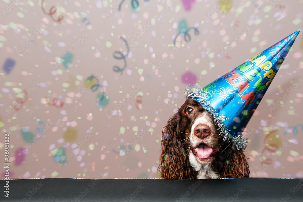happy dog wearing a new year party hat with confetti falling - obrazy, fototapety, plakaty 