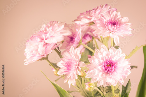 Beautiful flower with soft focus background