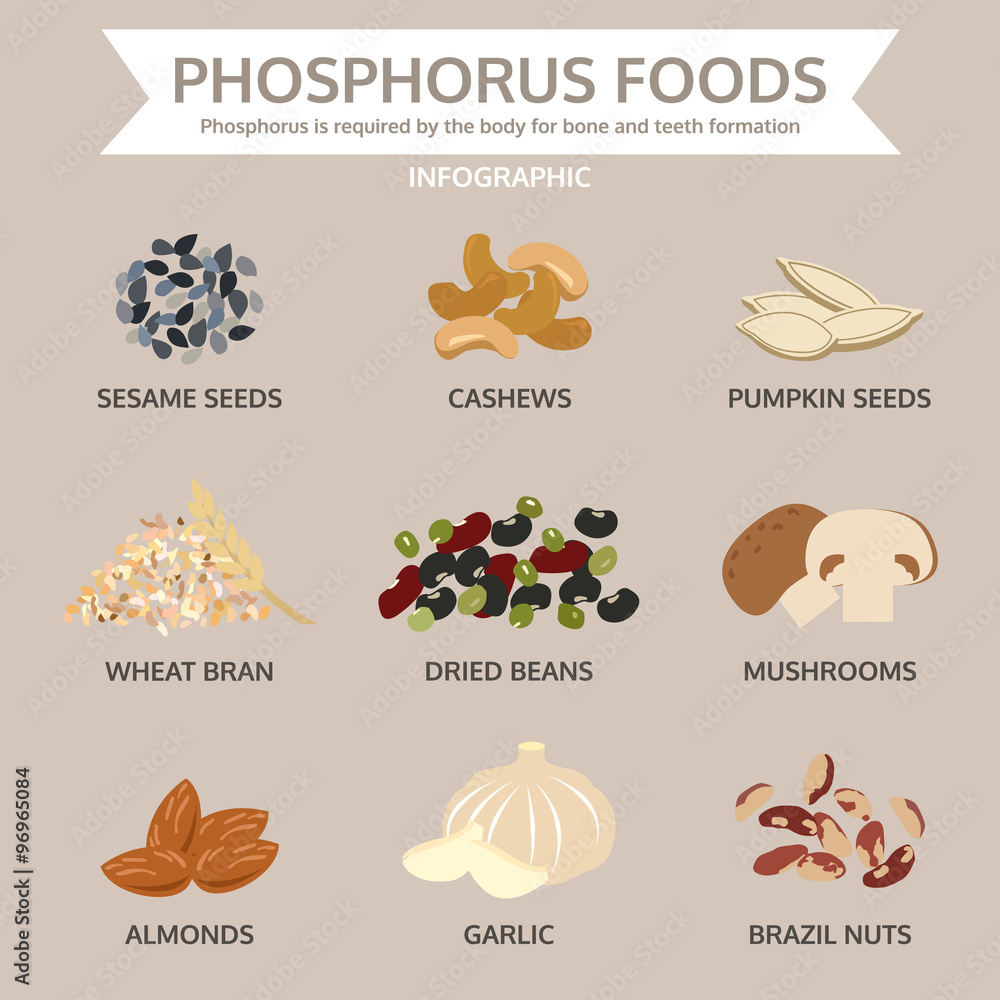 phosphorus foods, food info graphic, vector